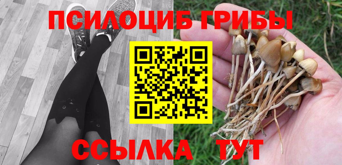 Россия  Галлюциногенные грибы прущие грибы  Вход с VPN 