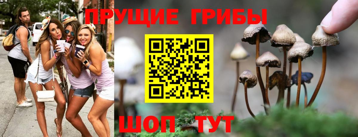 Псилоцибиновые грибы ЛСД Россия