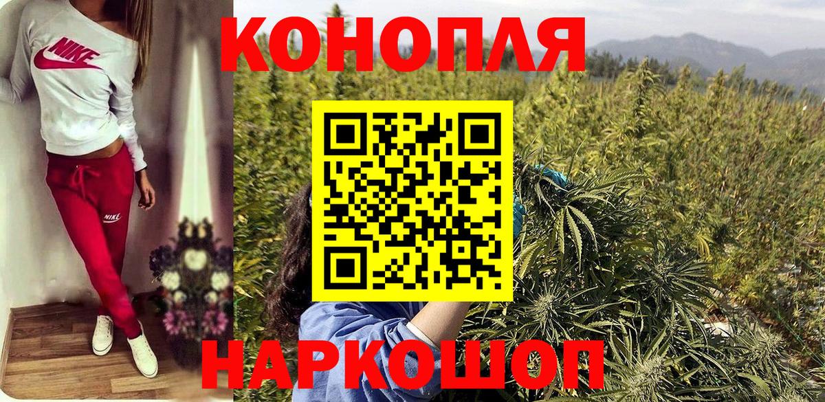 Шишки марихуана марихуана  Марихуана планчик  Шишки марихуана тримм  Россия  Вход с VPN 